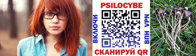 Псилоцибиновые грибы мицелий  Электроугли 